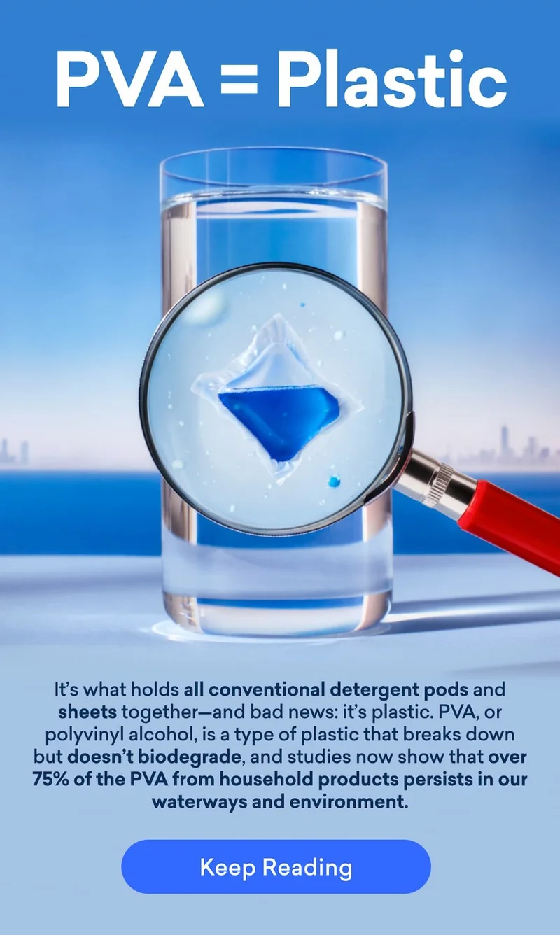 Learn more about PVA