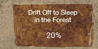 Drift Off to Sleep in the Forest