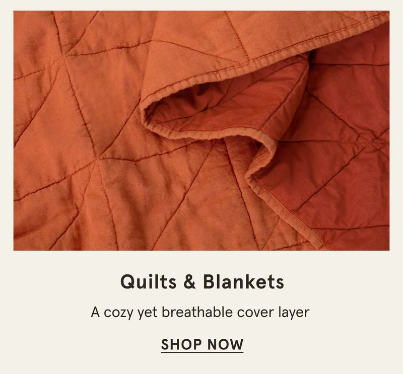 Quilts & Blankets | Shop Now