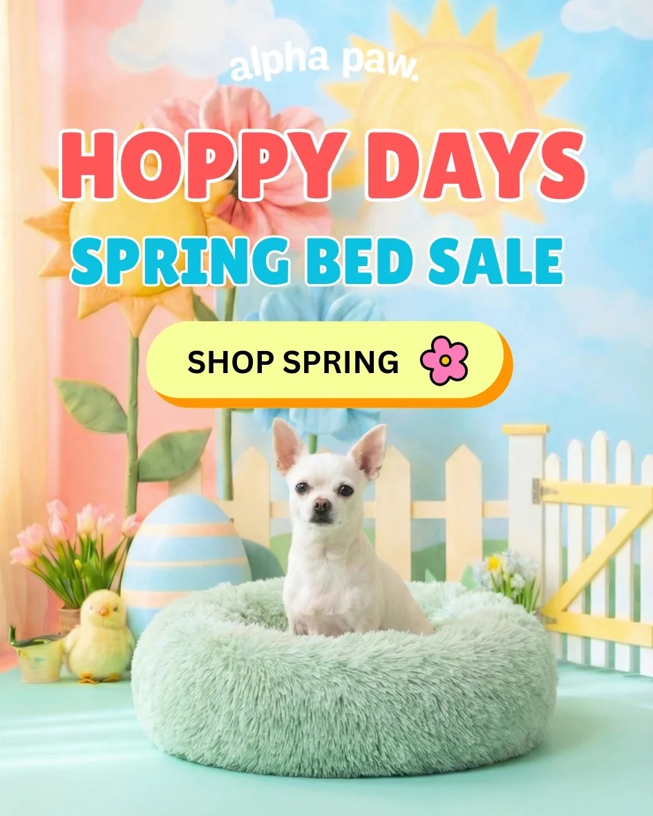 Hoppy Days