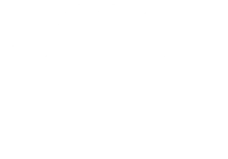 Lifetime is $219