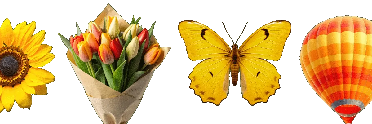 spring cutouts