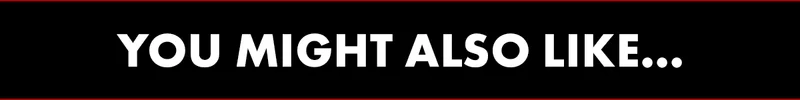 You Might Also Like...