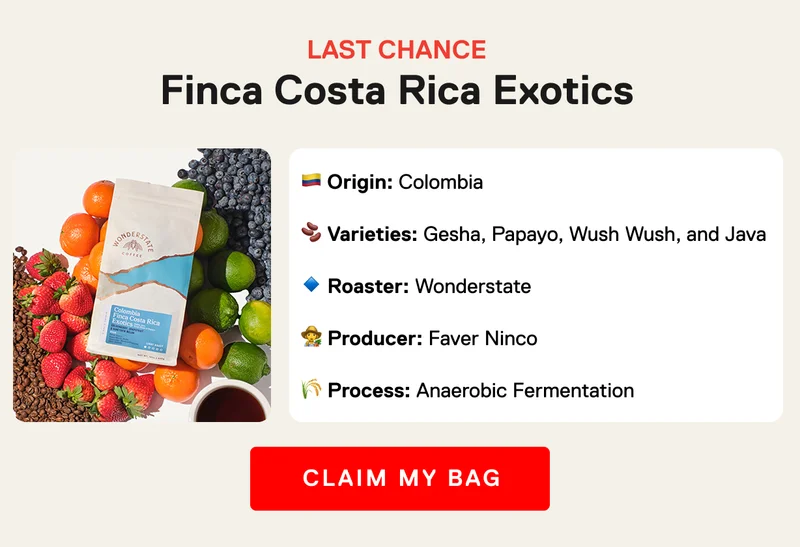 LAST CHANCE. Origin: Colombia, Varieties: Gesha, Papayo, Wush Wush, and Java, Process: Anaerobic Fermentation