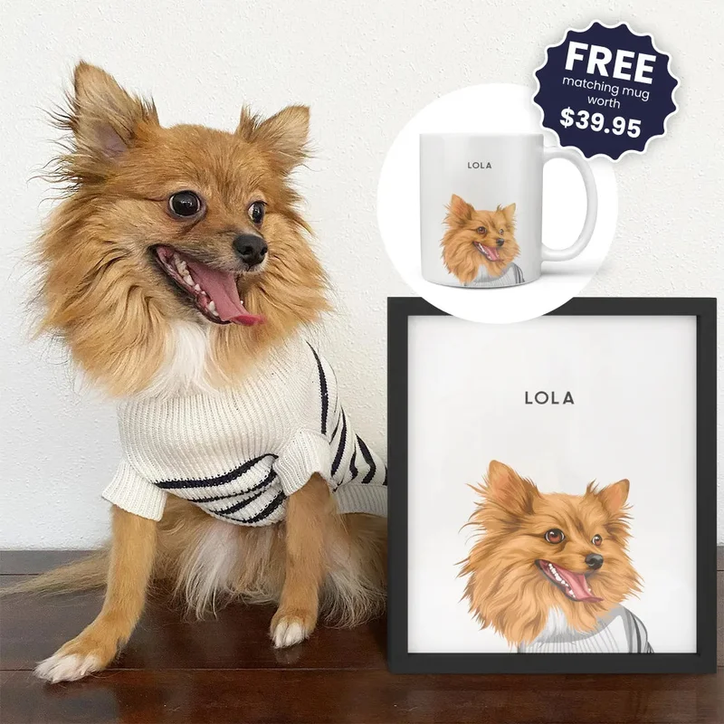 Image of Modern Pet Portrait - One Pet