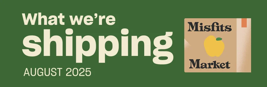 What we're shipping August What we're shipping August