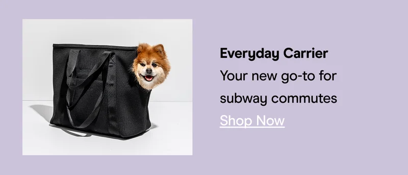 15% OFF CARRIERS