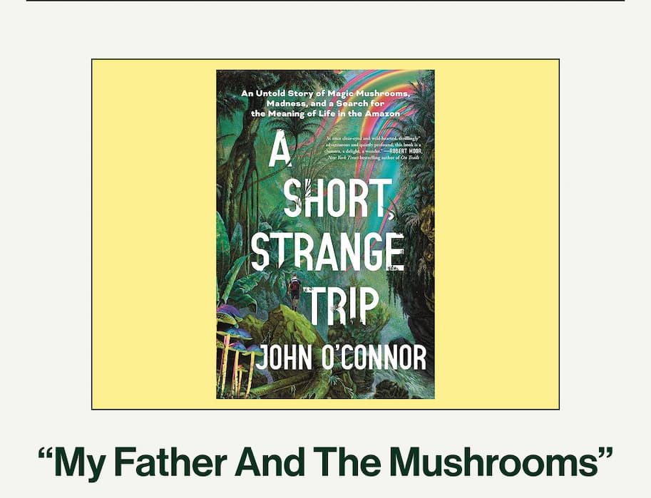 My Father and Mushrooms