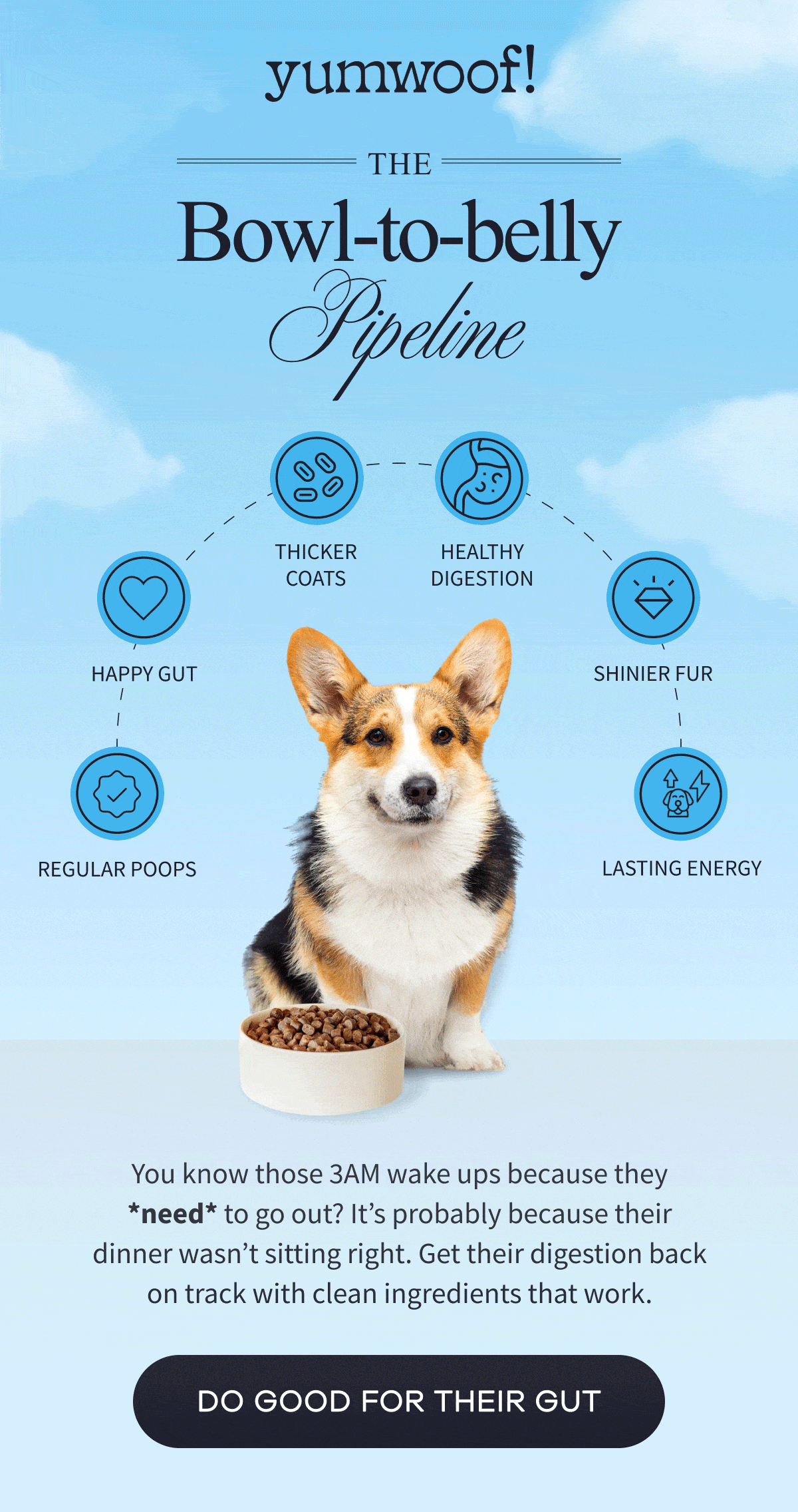 yumwoof! | THE BOWL-TO-BELLY PIPELINE | You know those 3AM wake ups because they *need* to go out? It’s probably because their dinner wasn’t sitting right. Get their digestion back on track with clean ingredients that work. | DO GOOD FOR THEIR GUT