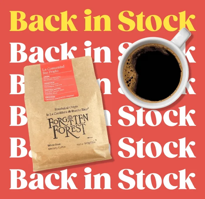 BACK IN STOCK: Loisa x Forgotten Forest