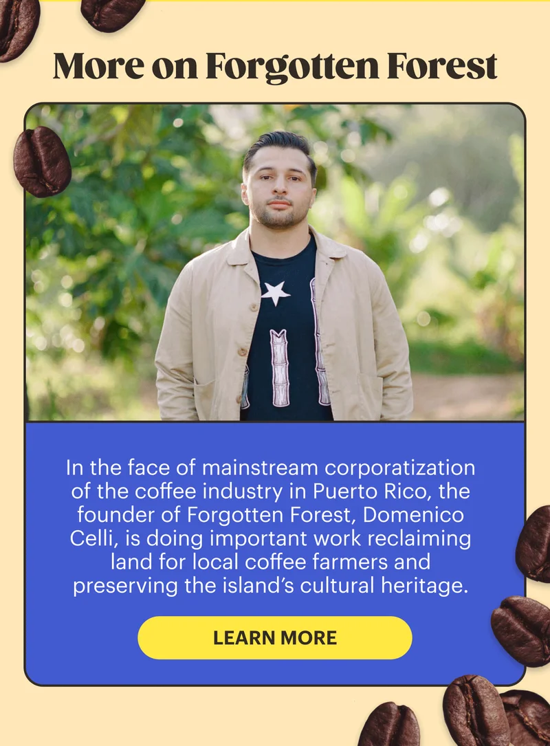 More on Forgotten Forest LEARN MORE