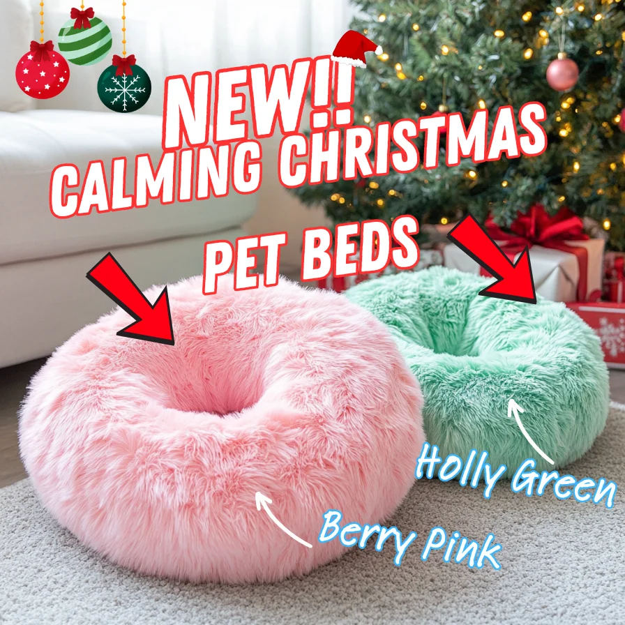 See the Pawlidays See the Pawlidays