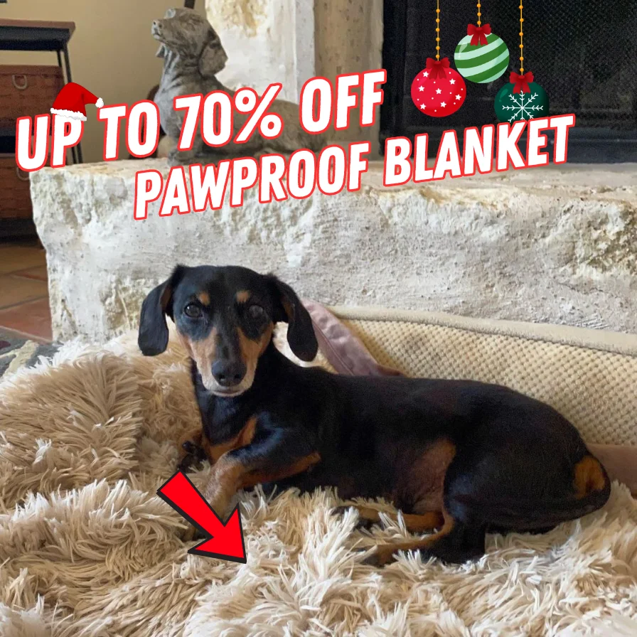 Pawproof Pawproof