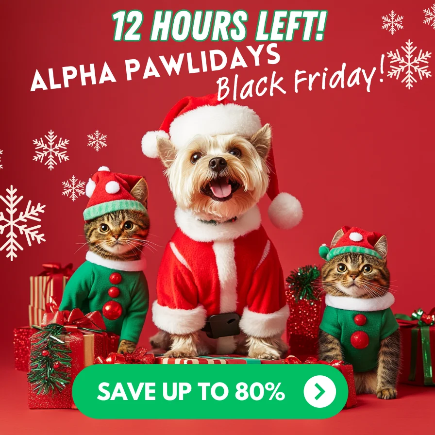 Alpha Paw Pawlidays Alpha Paw Pawlidays
