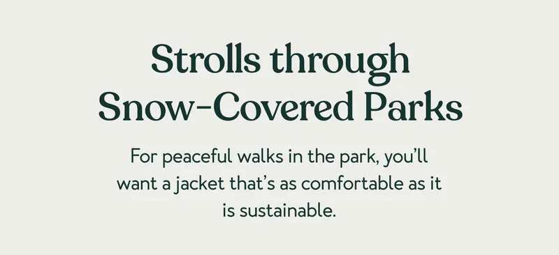 Strolls Through Snow-Covered Parks