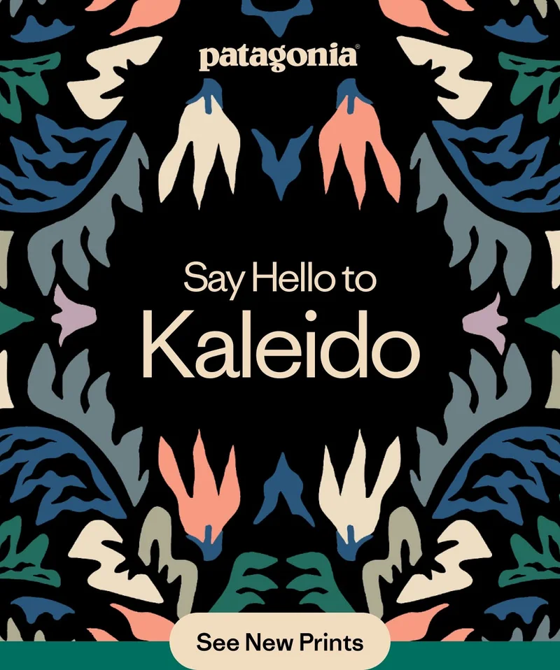 Say hello to Kaleido