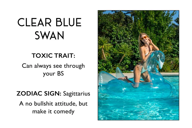 Clear Blue Swan | TOXIC TRAIT: Can always see through your BS  ZODIAC SIGN: Sagittarius A no bullshit attitude, but make it comedy