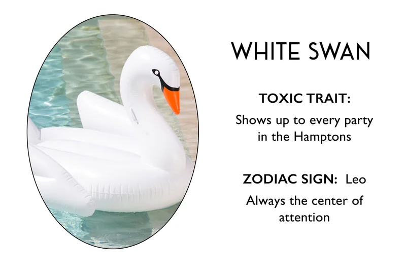 White Swan | TOXIC TRAIT: Shows up to every party in the Hamptons  ZODIAC SIGN:  Leo Always the center of attention