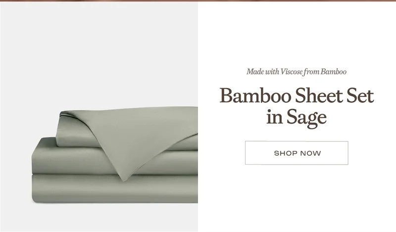 Shop The Bamboo Sheet Set In Sage