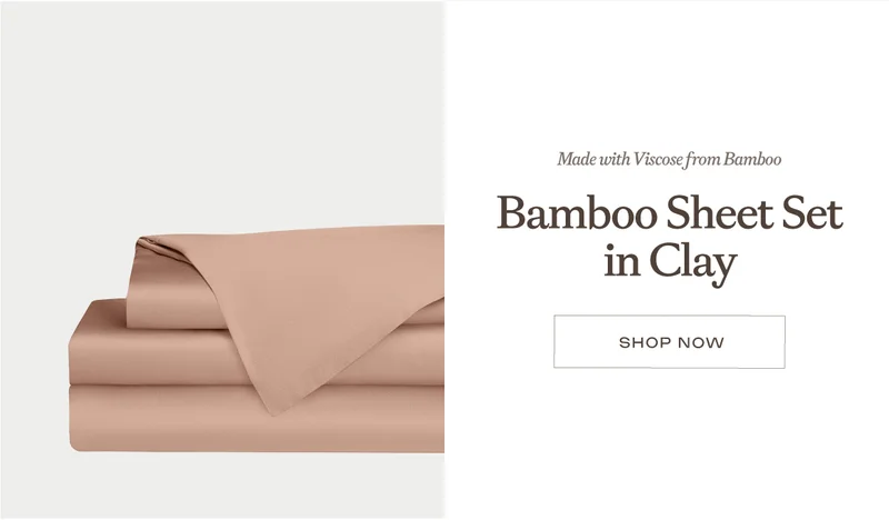 Shop The Bamboo Sheet Set In Clay