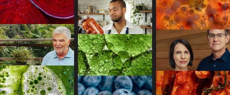 Erica Sonnenburg & Justin Sonnenburg, David Zilber, and Dr. Emeran Mayer