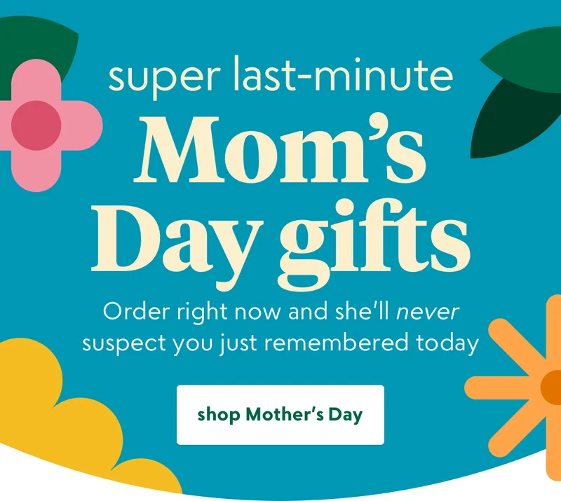 shop now