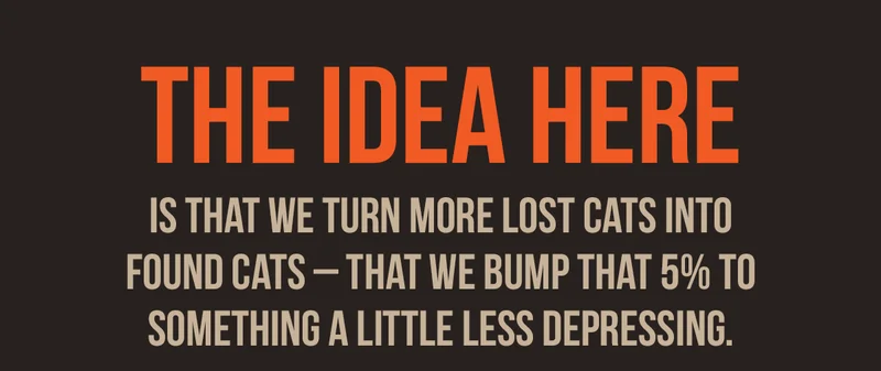 THE IDEA HERE | IS THAT WE TURN MORE LOST CATS INTO FOUND CATS- THAT WE BUMP THAT 5% TO SOMETHING A LITTLE LESS DEPRESSING.