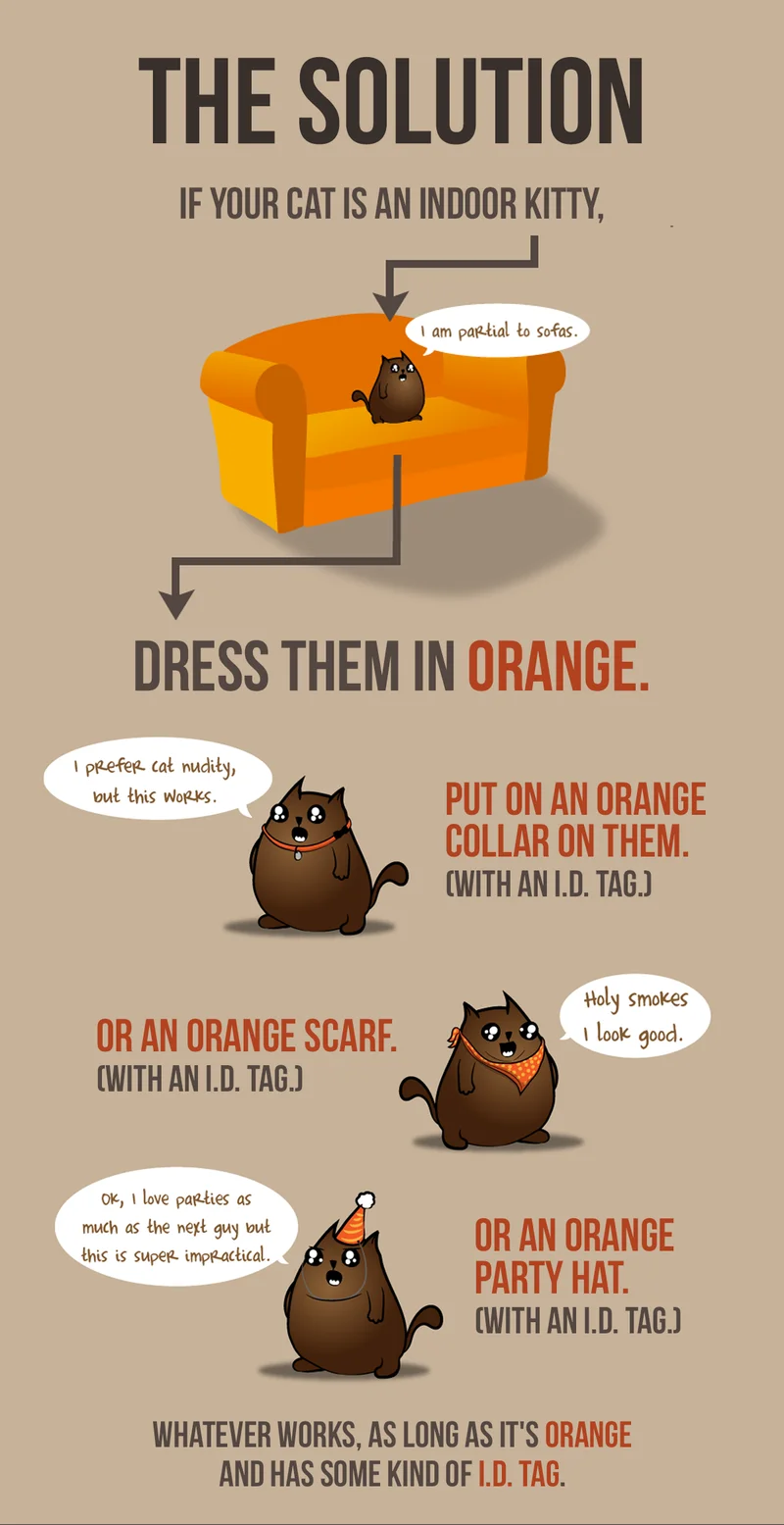THE SOLUTION | IF YOUR CAT IS AN INDOOR KITTY, I am partial to sofas. | DRESS THEM IN ORANGE. PUT ON AN ORANGE COLLAR ON THEM. (WITH AN I.D TAG.) | OR AN ORANGE SCARF. (WITH AN I.D TAG.) | OR AN ORANGE PARTY HAT. ( WITH AN I.D TAG.) | WHATEVER WORKS, AS LONG AS IT'S ORANGE AND HAS SOME KIND OF I.D. TAG.