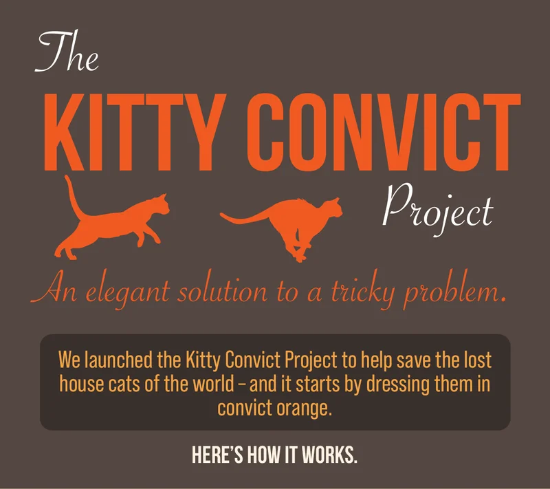 The KITTY CONVICT Project | An elegant solution to a tricky problem. | We launched the Kitty Convict Project to help save the lost house cats of the world- and it starts by dressing them in convict orange. | HERE'S HOW IT WORKS.