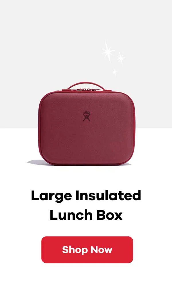 Large Insulated Lunch Box | Shop Now