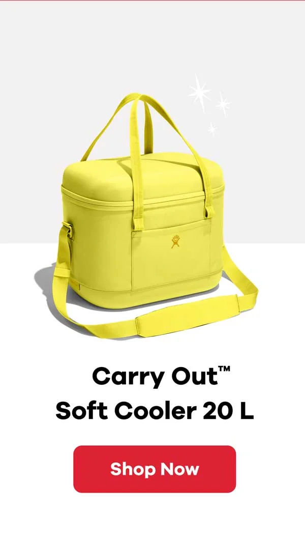 Carry Out Soft Cooler 20 L | Shop Now