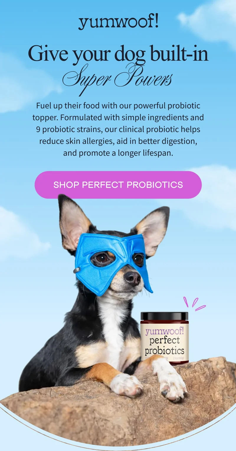 yumwoof! | Give Your Dog Built-In Super Powers | Fuel up their food with our powerful probiotic topper. Formulated with simple ingredients and 9 probiotic strains, our clinical probiotic helps reduce skin allergies, aid in better digestion, and promote a longer lifespan. | SHOP PERFECT PROBIOTICS