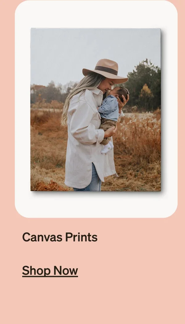 Up to 50% Off Everything + Free Shipping on Cards