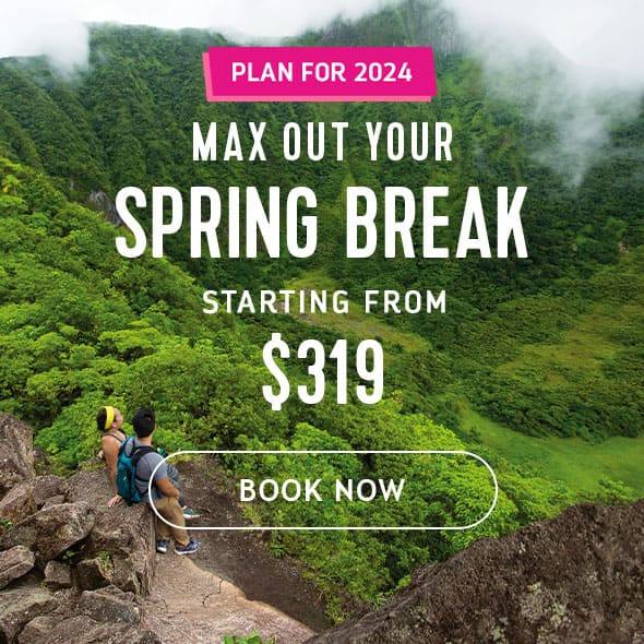 MAX OUT YOUR SPRING BREAK