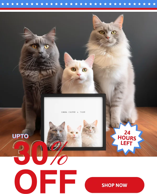 4th of July Sale! Shop up to 30% Off. 24 hours left