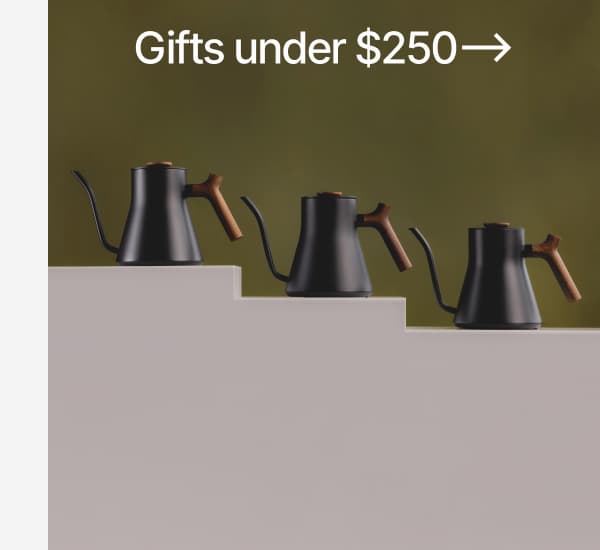 Gifts under $250