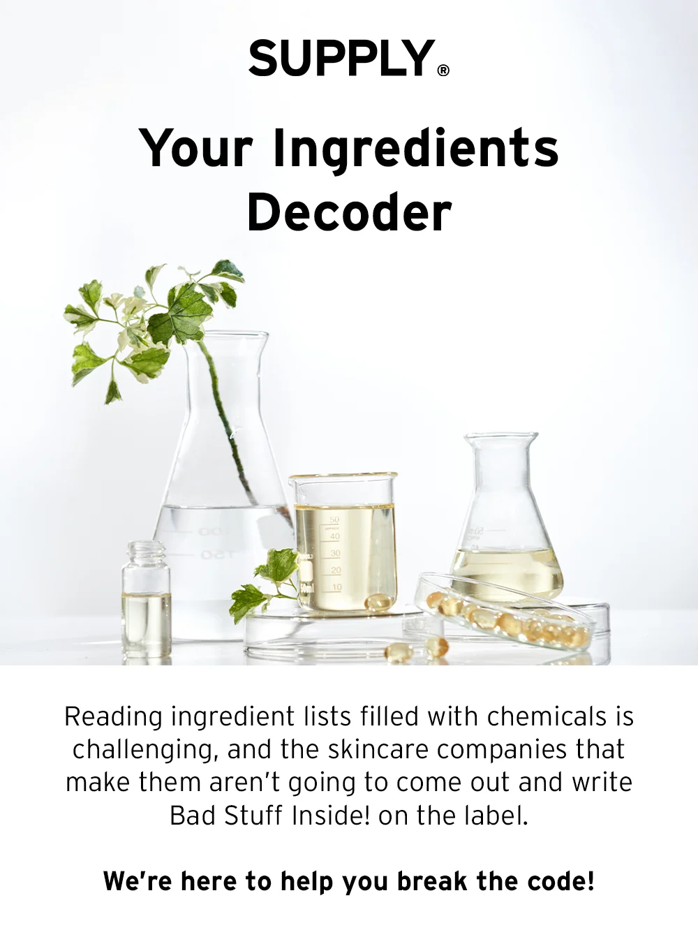 [Your Ingredients Decoder]