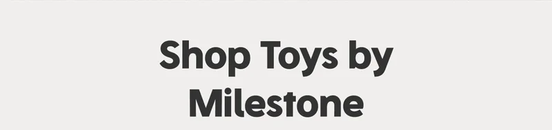 Shop Toys By Milestone