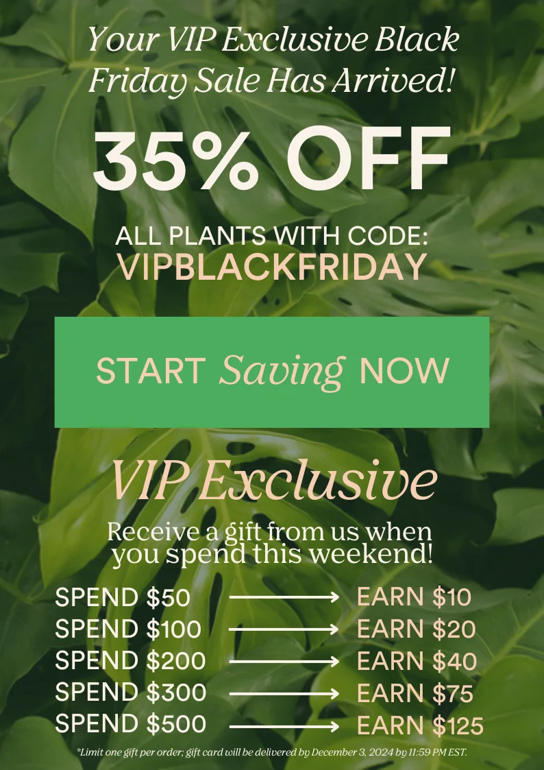 shop all plants with code VIPBLACKFRIDAY and receive a gift from us.