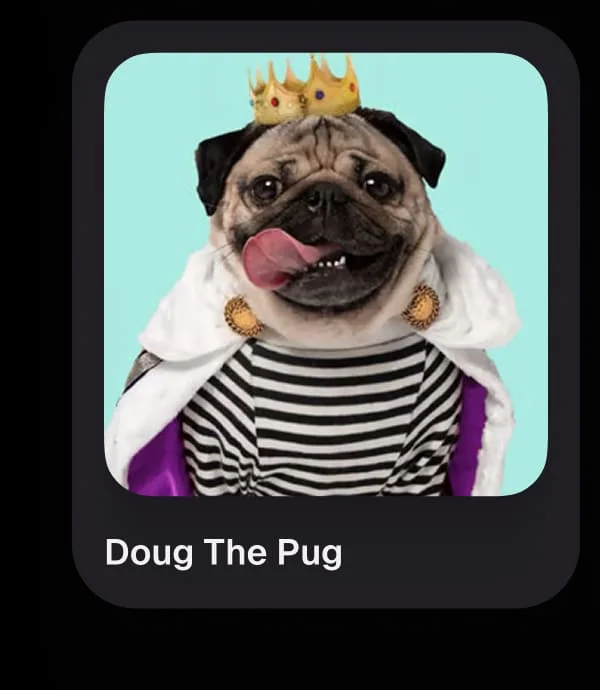 Doug The Pug