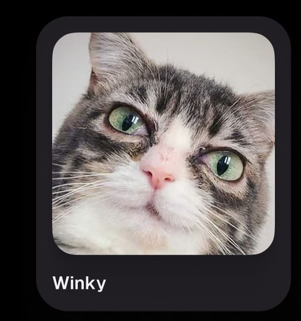Winky