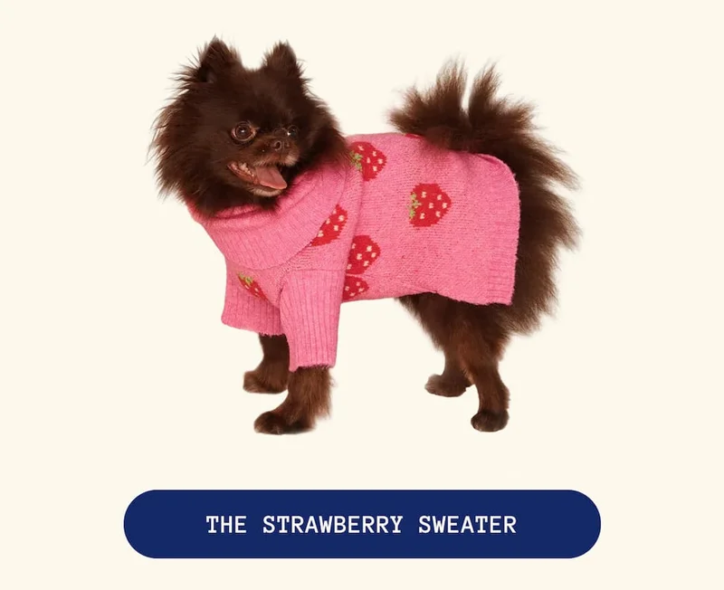 The Strawberry Sweater 🍓