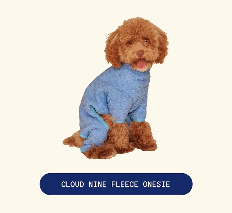 Cloud Nine Fleece Onesie