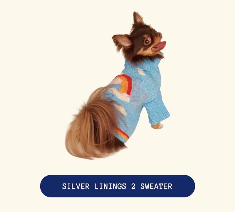 Silver Linings 2 Sweater