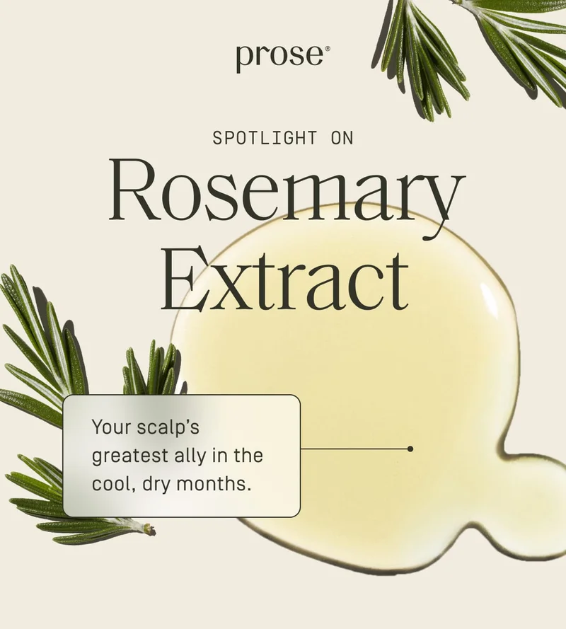 Prose | Rosemary Extract