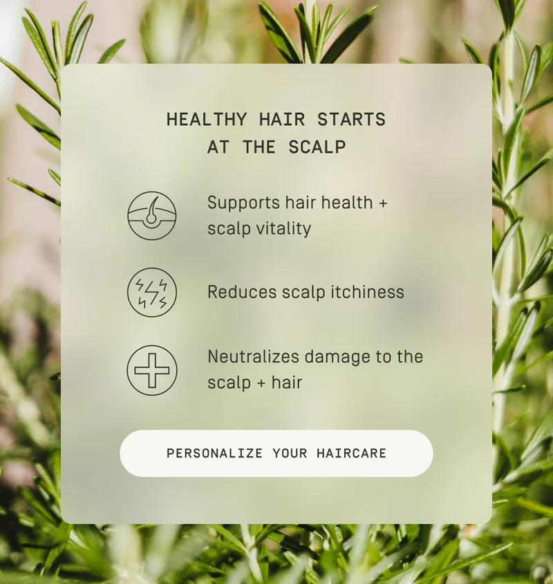 Healthy hair starts at the scalp
