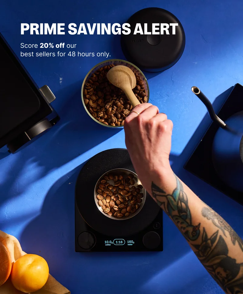 Prime savings alert! Score 20% off our best sellers for 48 hours only.
