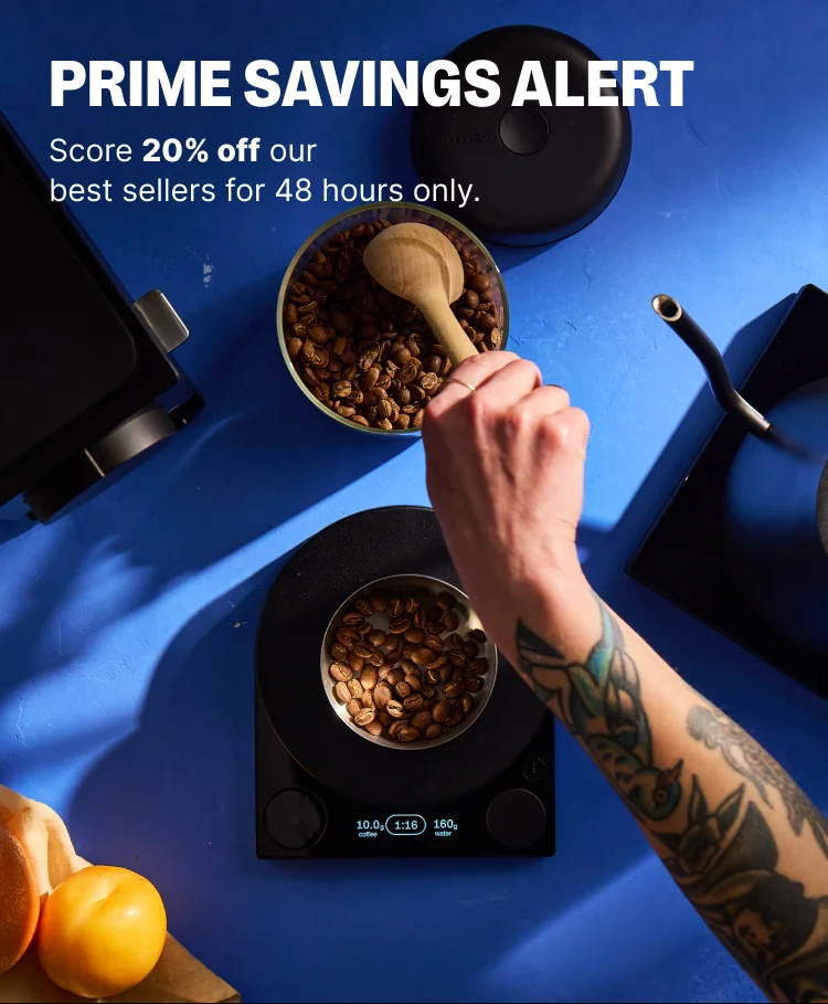 Prime savings alert! Score 20% off our best sellers for 48 hours only.