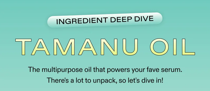 Ingredient Deep Dive: Tamanu Oil.  The multipurpose oil that powers your fave serum. There's a lot to unpack, so let's dive in!