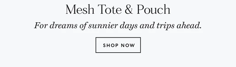 Mesh Tote and Pouch 40% Off